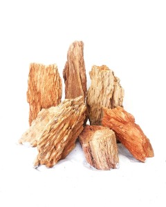 Red Wood Fossil Small, 12-18 Cm / Box