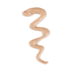 Schesir Baby Thrive Mousse Kitten - Chicken 160G (20X8G) - Image 3