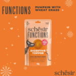 Schesir Functions Cat Pouch Digestive Topper Pumpkin With Wheat Grass 40G (Min Order- 12 Pouch) - Image 3