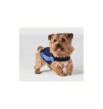 Thunder Shirt - Image 8