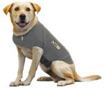Thunder Shirt - Image 3