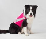 Thunder Shirt - Image 2