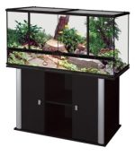 Glass Terrarium - Image 8
