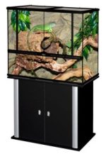 Glass Terrarium - Image 2