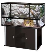 Glass Terrarium