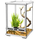 Glass Terrarium - Image 6