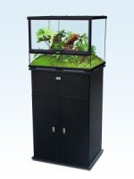 Glass Terrarium - Image 5