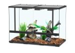 Glass Terrarium - Image 4