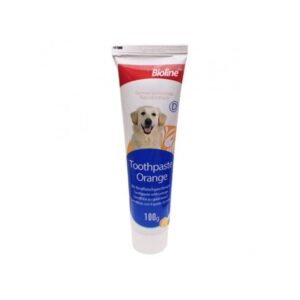 Bioline Tooth Paste[Weight - 100g, Flavor - Orange]