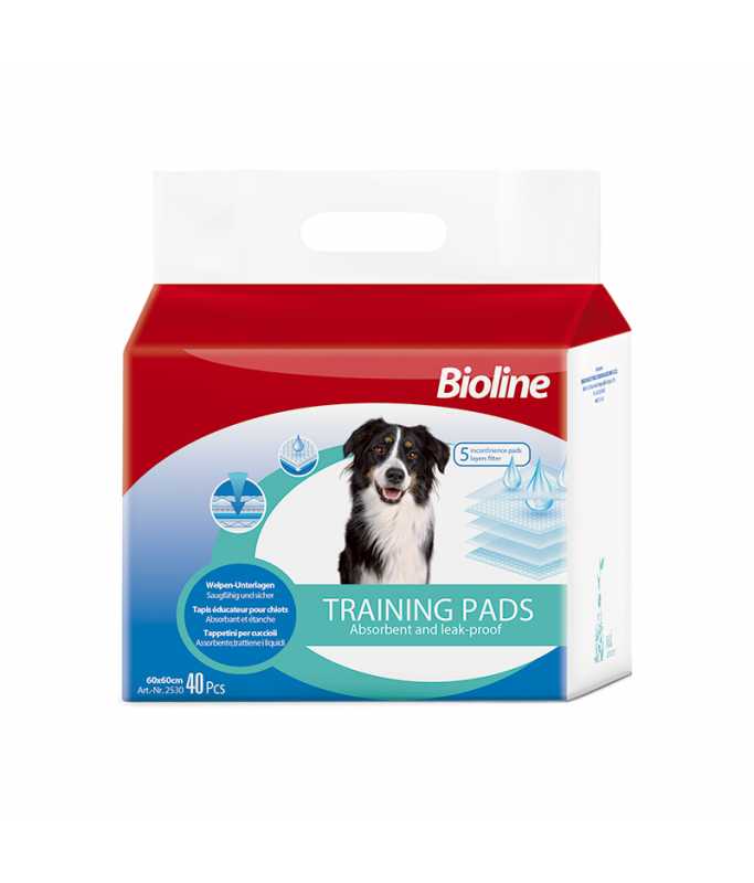 6970117125306.jpeg Training Pads