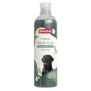 Shampoo - Black Coat for Dogs 250ml