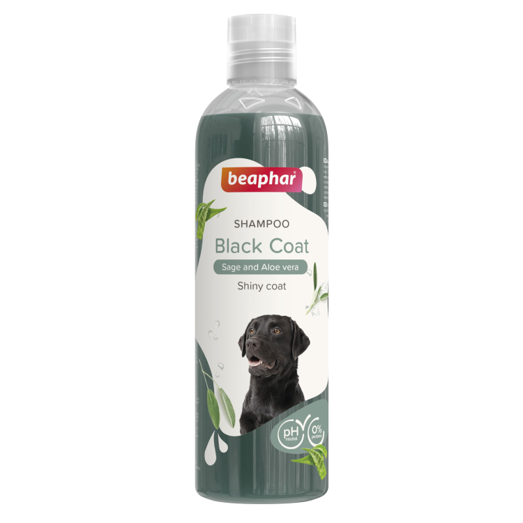 BE13841 Shampoo - Black Coat for Dogs 250ml - Image 1