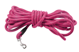 Leash - 5M Walk Fuchsia Pink