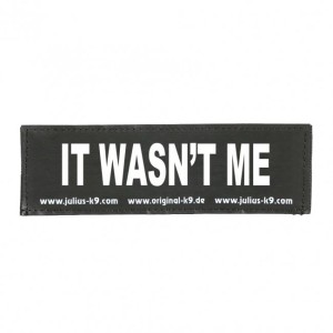 PATCH - - IT WASN'T ME PATCH - LARGE