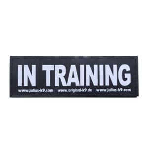 PATCH - - IN TRAINING PATCH - SMALL