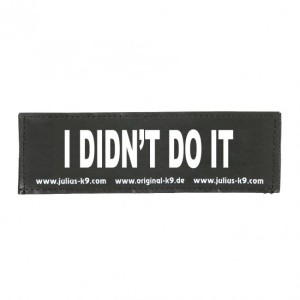 PATCH - - I DIDN'T DO IT PATCH - SMALL