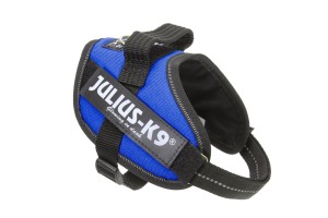 JL16IDC-AM-0 IDC Powerharness - - Image 1