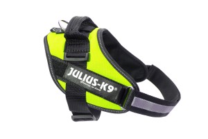 IDC Powerharness - - Neon Green / Size 0