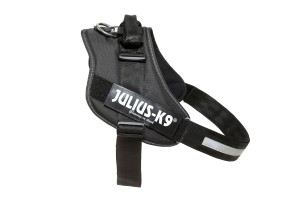 JL16IDC-P-4 IDC Powerharness - - Black / Size 4 - Image 1