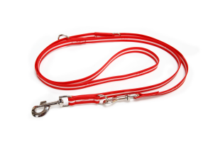 IDC Lumino Adjustable Leash - - Red / Width 1.9 cm & Length 2.2 Meter