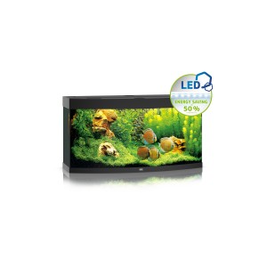 Vision - 260 LED - Black