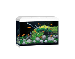 Primo 60 LED Aquarium Shop