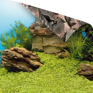 Poster - 1 - XL size - 150x60 cm