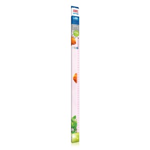 LED - Colour 4425K - 438 mm