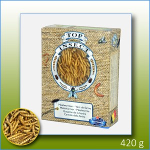 Frozen - Mealworms 1 L