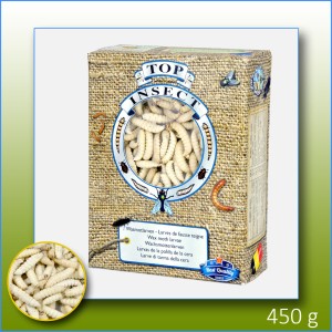 Frozen - Wax Moth Larvae 1 L