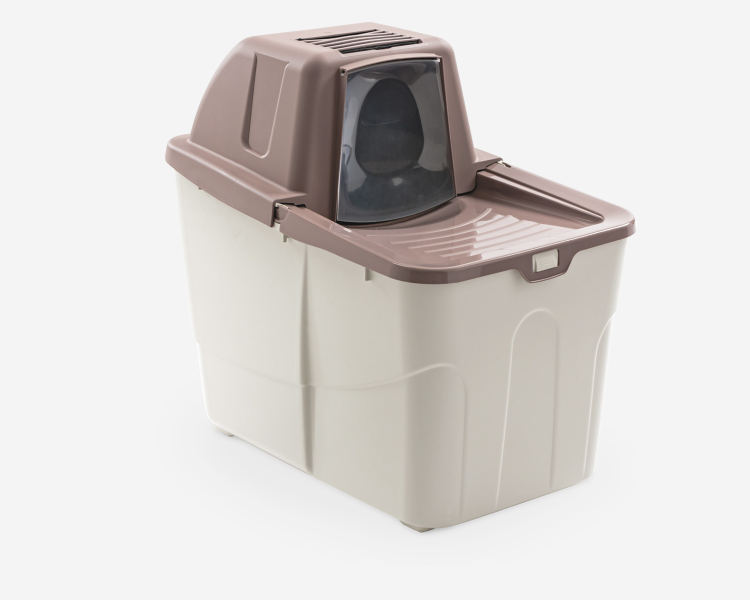 MP120101X18190 Buxo - Image 1