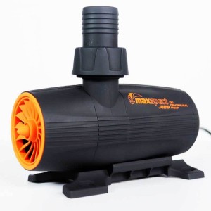 Maxspect