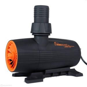Maxspect