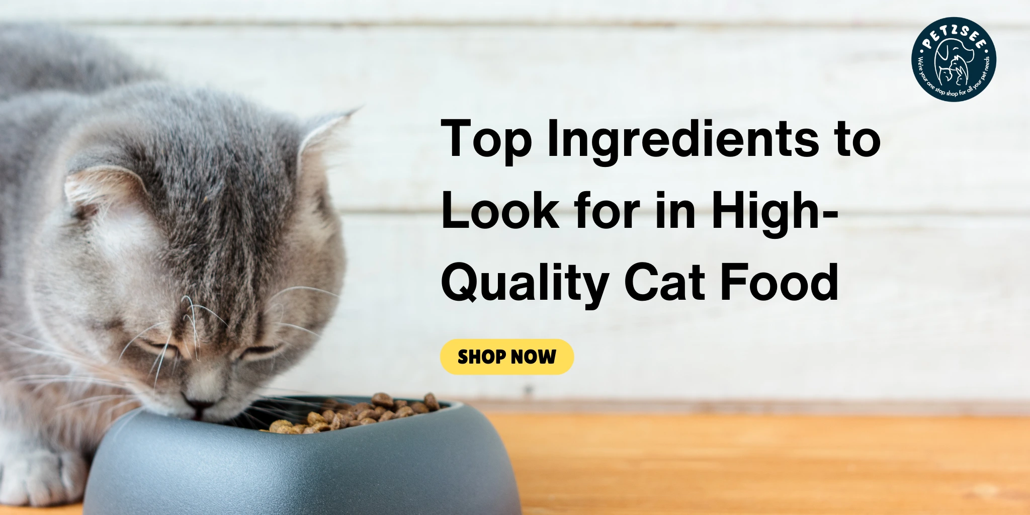 cat food