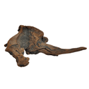 AL-SKWD Aqualife Sunken Wood-Per Kg - Image 1