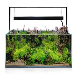 Aquael UltraScape Forest Aquarium