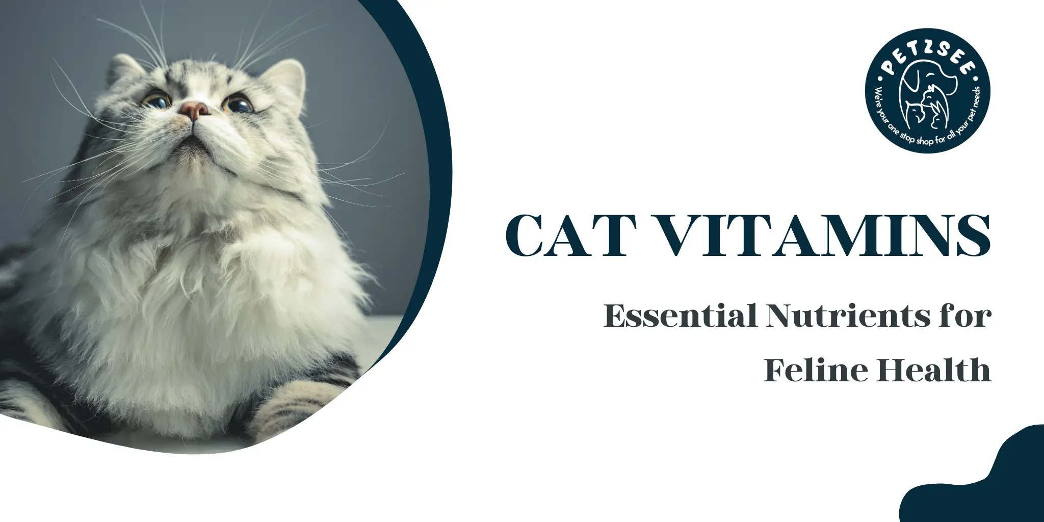 Cat Vitamins