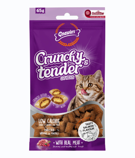 GN12046 Gnawlers Crunchy & Tender Cat Treats 65g - Salmon Flavour - Image 1