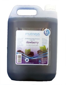 Dewberry Shampoo 5 L