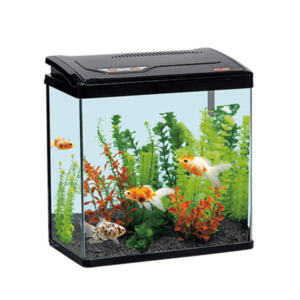 Karis PY-Series Aquarium 380 x 230 x 400mm[Color - Black]