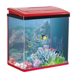 Karis PY-Series Aquarium 480 x 260 x 450mm[Color - Maroon]