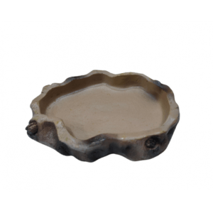 KW Zone Reptiles Feeding Bowls U-595