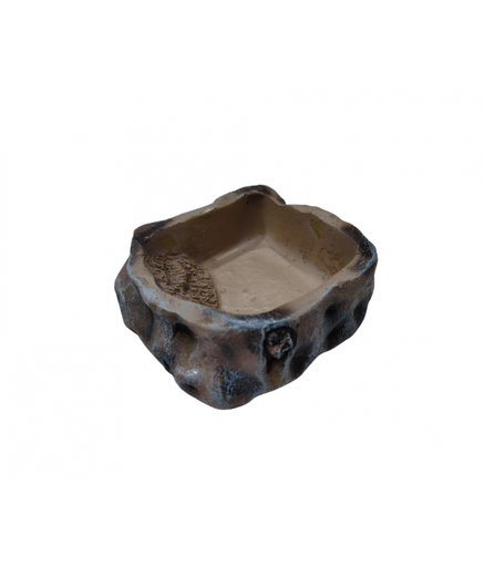 U595-S KW Zone Reptiles Feeding Bowls U-595 – S - Image 1