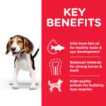 Hill’s Science Plan Medium Puppy Food With Chicken - Image 2