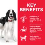 Hill’s Science Plan Medium Adult Dog Food With Chicken - Image 2