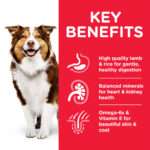 Hill’s Science Plan Medium Mature Adult 7+ Dog Food With Chicken - Image 2