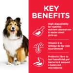 Hill’s Science Plan Sensitive Stomach & Skin Medium Adult Dog Food With Chicken - Image 2