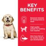 Hill’s Science Plan Large Breed Puppy Food With Chicken - Image 2