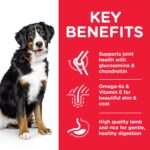 Hill’s Science Plan Large Breed Adult Dog Food With Chicken - Image 2