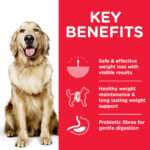 Hill'S Science Plan Perfect Weight Large Breed Adult Dog Food With Chicken (12Kg) - Image 2